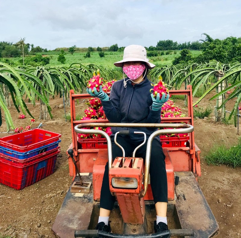 Nghi dich, co gai roi TP.HCM ve que cham vuon, di lam thue voi cha-Hinh-2