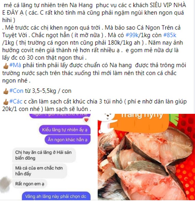 Loai ca tung tien Vua o Viet Nam dang duoc ban voi gia sieu re-Hinh-3