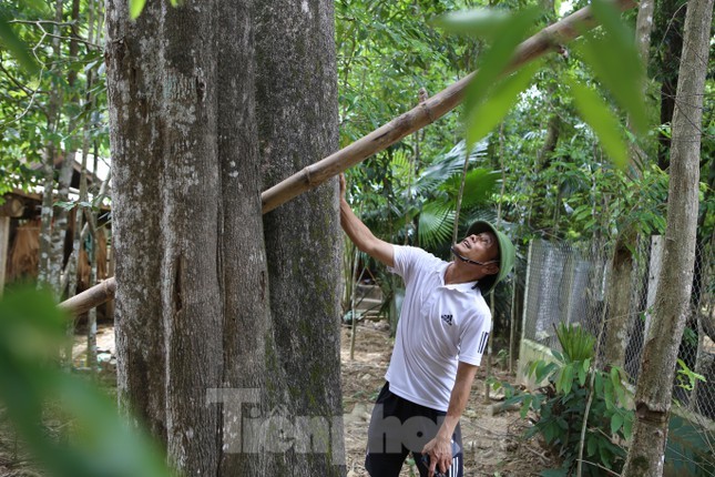 Ve thu phu lam ty phu phat len nho tram huong-Hinh-2