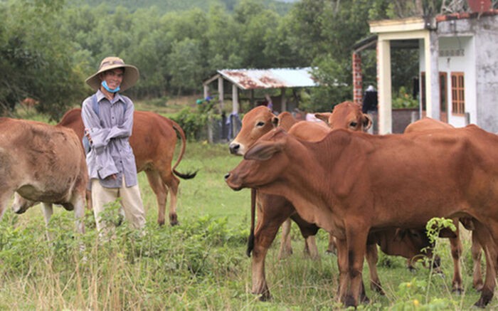 Soytiet khoe phong tro song cung ban gai, tiet lo cuoc song hien tai