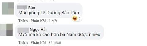 Tan Hoa hau Hoa binh Thai Lan nhu ban sao cua Le Duong Bao Lam-Hinh-6