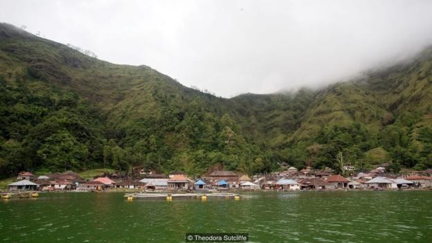 Su ky la den bat ngo ben cay co thu cua mot ngoi lang tai Bali-Hinh-4