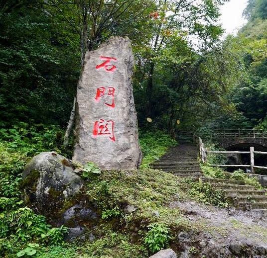 Tu Xuyen co mot khu rung cu he ai toi la nguoi dan lai lac dau-Hinh-3