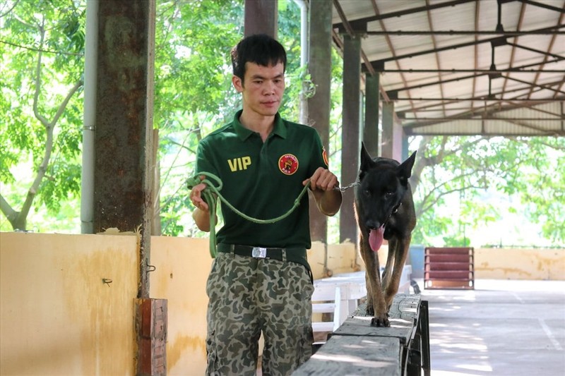 Dich vu huan luyen cho nghiep vu dat khach o Ha Noi-Hinh-2