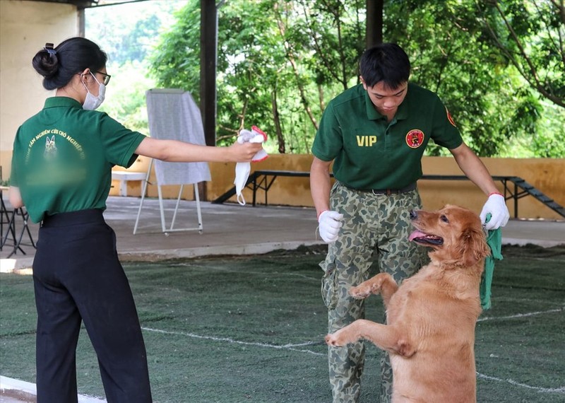 Dich vu huan luyen cho nghiep vu dat khach o Ha Noi