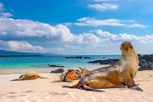 Thien duong da dang sinh hoc tai quan dao Galapagos