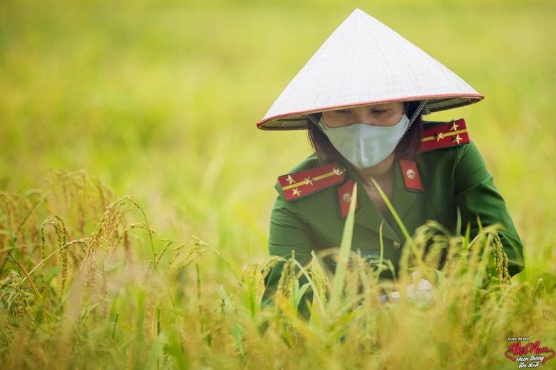 Nhung bong hong noi tuyen dau chong dich-Hinh-7