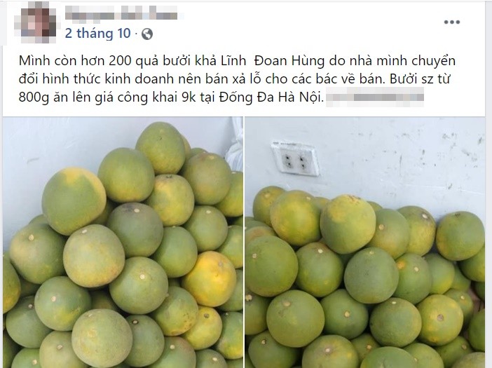 Buoi Doan Hung duoc ban voi gia 9.000 dong/qua-Hinh-3