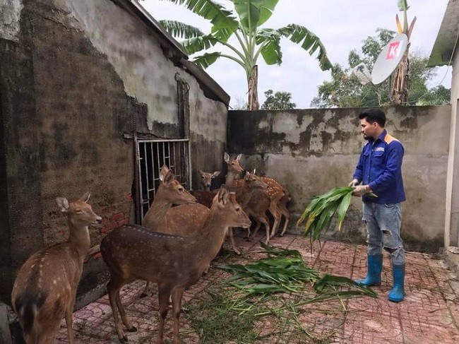 9x Ha Tinh bo viec nghin do ve que khoi nghiep, thu nua ty moi thang-Hinh-4