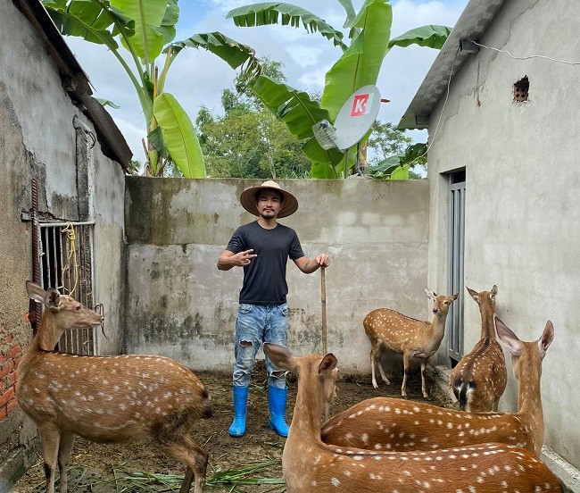 9x Ha Tinh bo viec nghin do ve que khoi nghiep, thu nua ty moi thang-Hinh-5