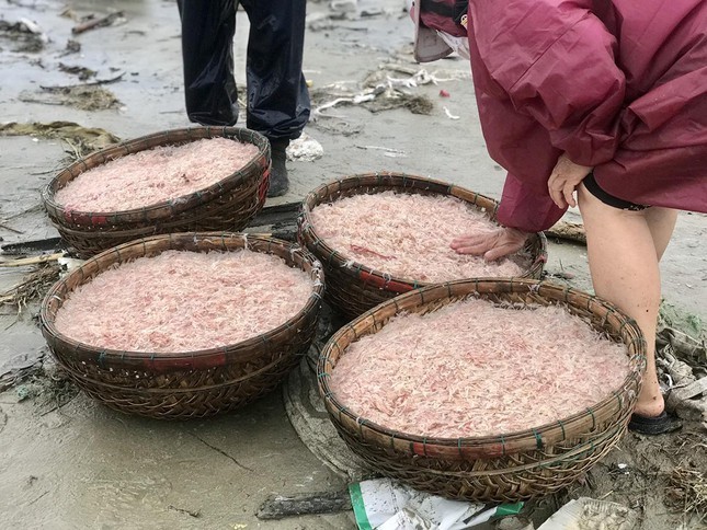 Ngu dan Da Nang kiem tien trieu moi ngay nho mon qua tu bien ca