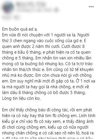 Moi cuoi 3 thang chong ngoai tinh, vo bau bi tieu tam choc gian