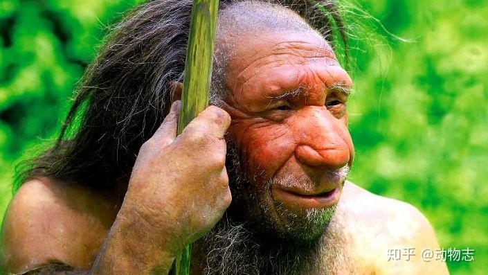 Lam the nao ma nguoi Homo sapiens da danh bai nguoi Neanderthal?-Hinh-6