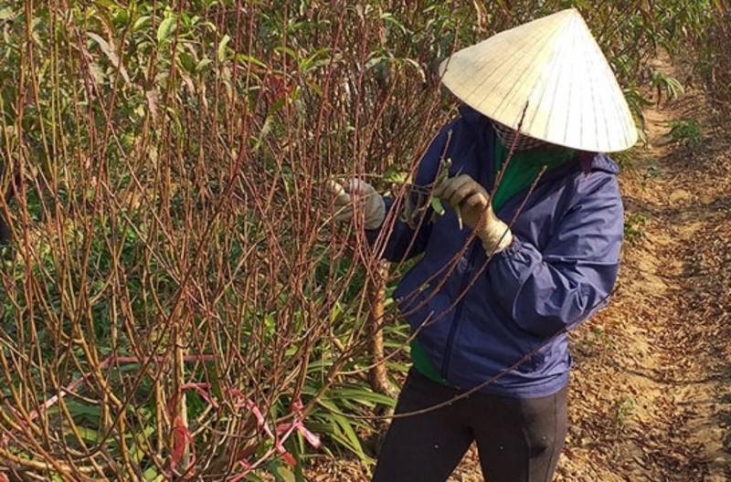 Tuot la dem tien - Nghe la nguoi Viet chi lam gan Tet-Hinh-11