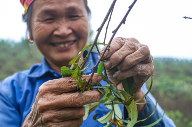 Tuot la dem tien - Nghe la nguoi Viet chi lam gan Tet-Hinh-5