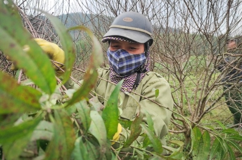 Tuot la dem tien - Nghe la nguoi Viet chi lam gan Tet-Hinh-7