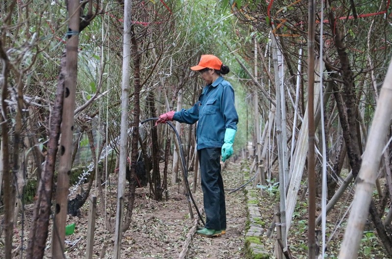 Tuot la dem tien - Nghe la nguoi Viet chi lam gan Tet-Hinh-9