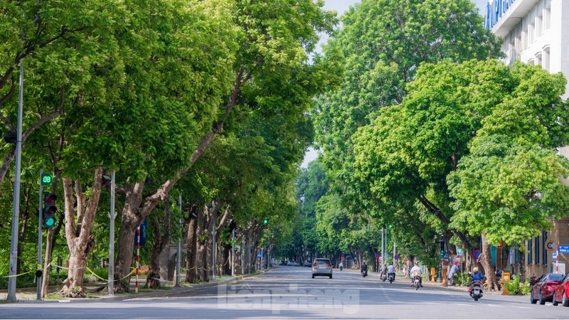 Nhung con duong rop bong cay xanh giua ngay he ‘do lua’ tai Ha Noi-Hinh-2