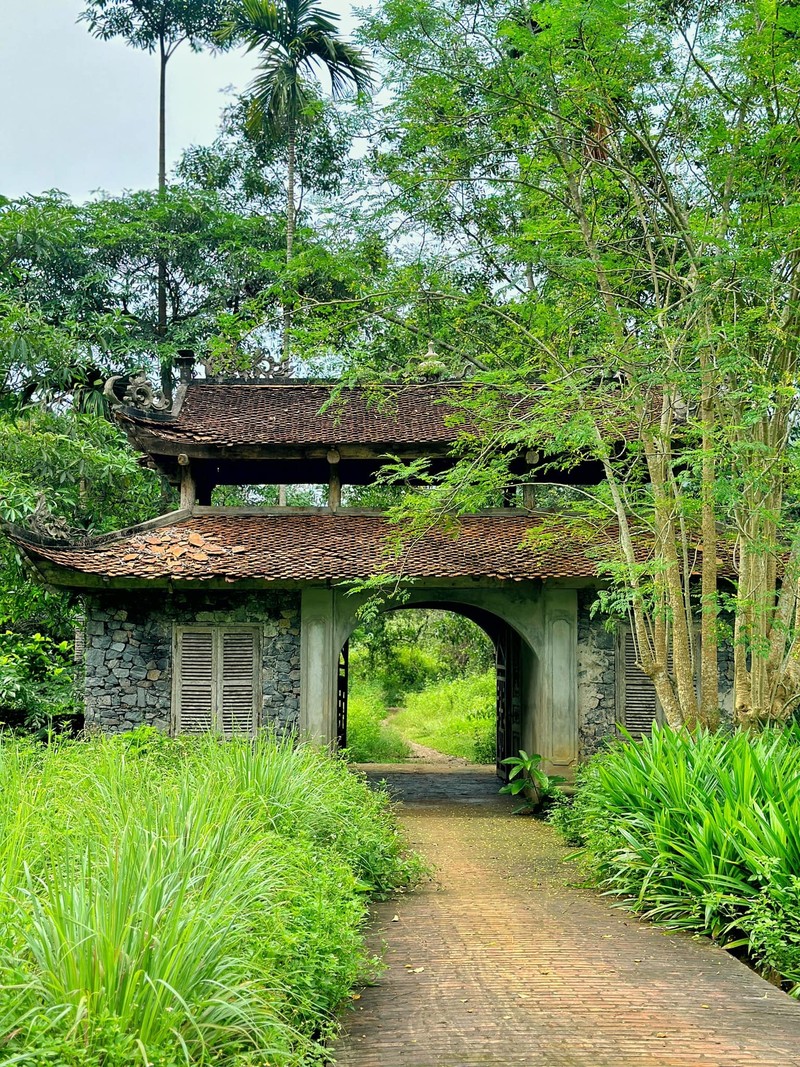 Hai ngay len rung, xuong bien va dieu thu vi thu hut gioi tre-Hinh-11