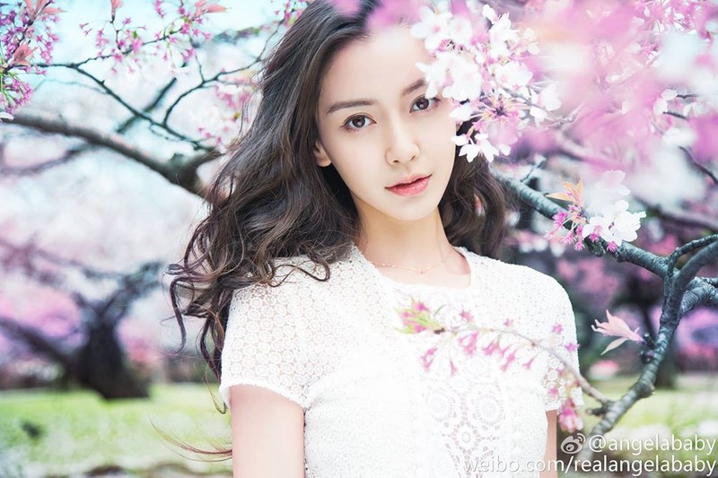 Angelababy co mat trang sau on ao ly hon Huynh Hieu Minh?-Hinh-2