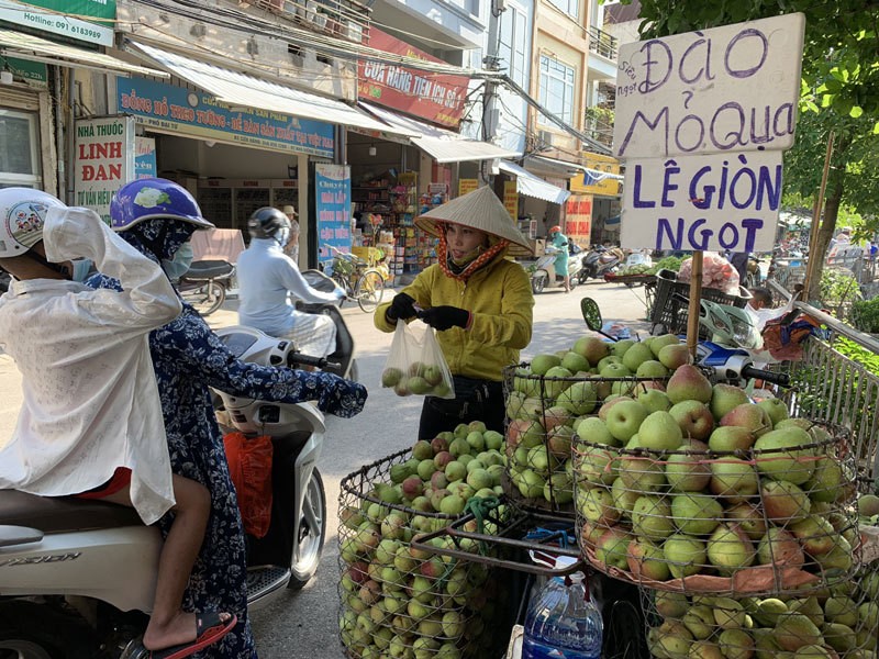 Dan buon tiet lo soc ve dao mo qua dang ban tran cho Viet