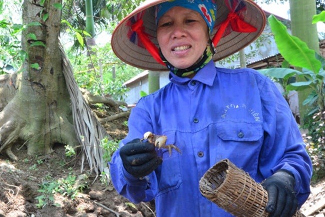 Bat cay ve ban kiem tien trieu de nhu choi-Hinh-10