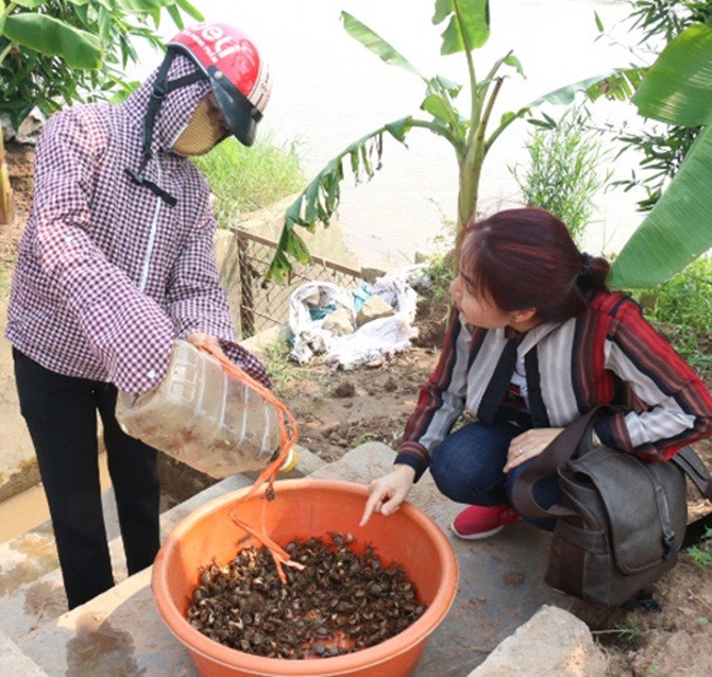 Bat cay ve ban kiem tien trieu de nhu choi-Hinh-2