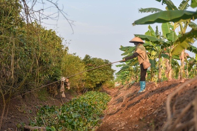 Bat cay ve ban kiem tien trieu de nhu choi-Hinh-4