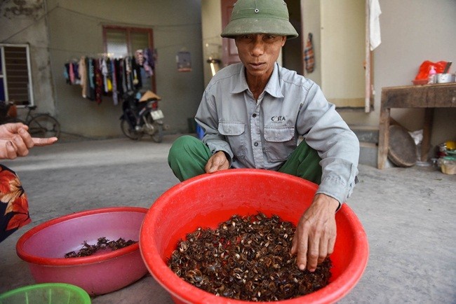 Bat cay ve ban kiem tien trieu de nhu choi-Hinh-7