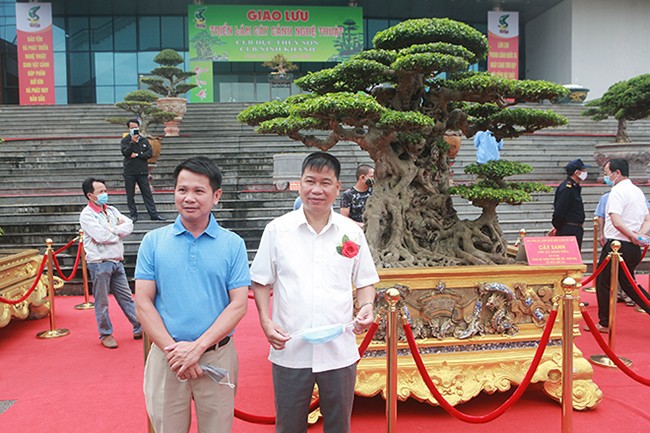 Choang ngop ngam dan cay canh gia tri hang tram ty dong-Hinh-5