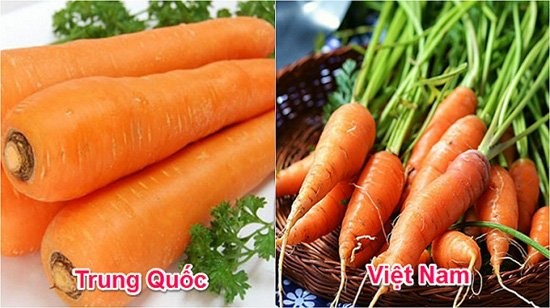 11 cach phan biet rau cu mua dong Trung Quoc va Viet Nam-Hinh-4