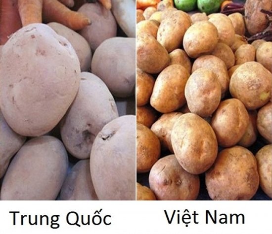 11 cach phan biet rau cu mua dong Trung Quoc va Viet Nam-Hinh-9