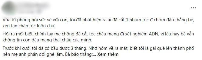 Chau vua sinh do hon, me chong bat xet nghiem ADN