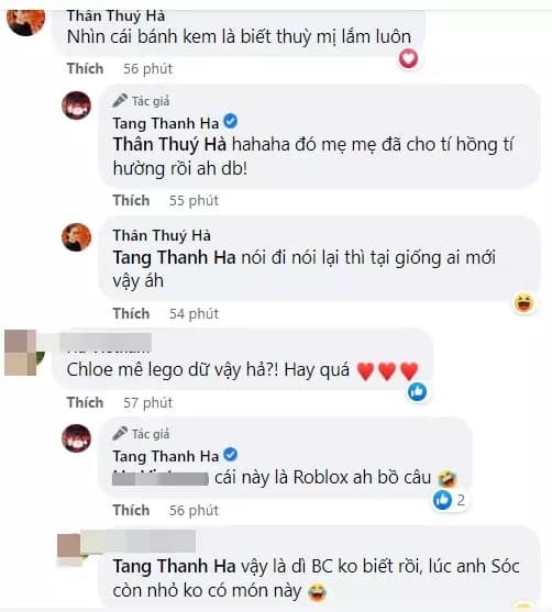 Ha Tang dau dau 