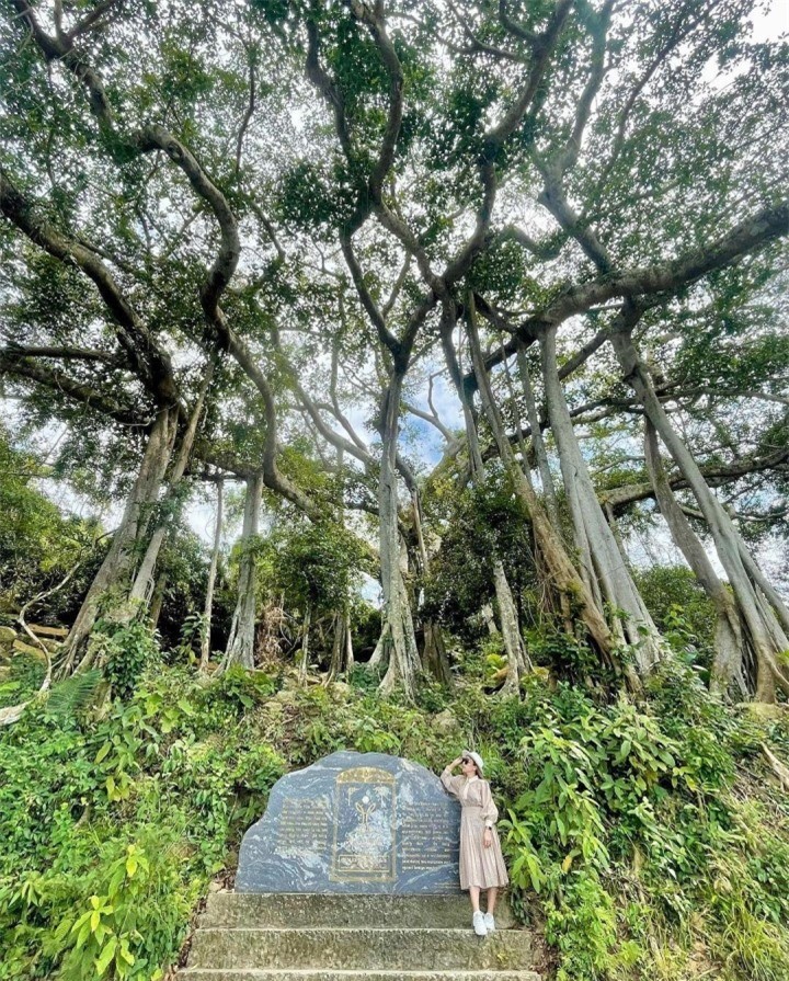 Choang truoc cay da ngan nam an minh giua ban dao Son Tra-Hinh-9