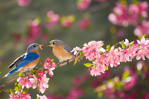 Sinh vao ngay Am lich nay van menh may man, cuoc song thuan loi-Hinh-2