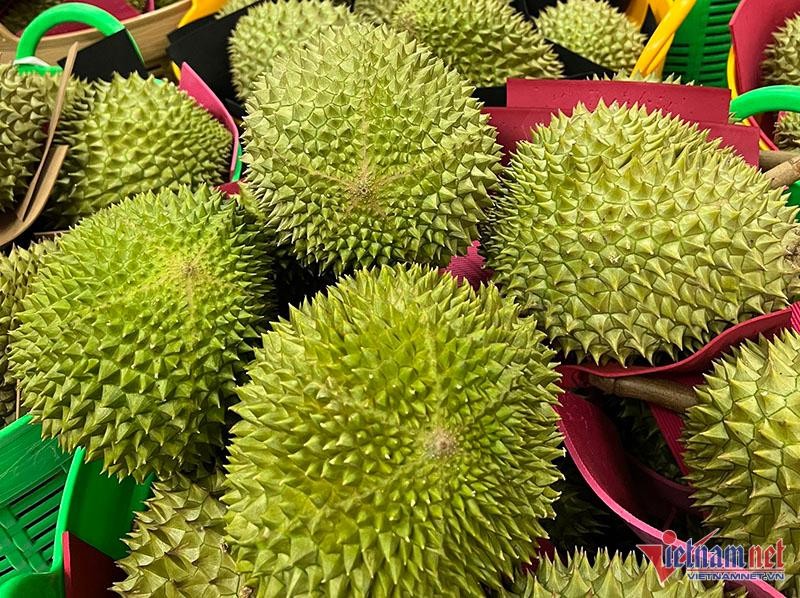 Khu vuon sau rieng Musang King sai triu canh, cho chin rung ban 3 trieu/qua-Hinh-10