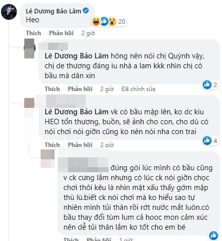 Le Duong Bao Lam bi nhac nho khi goi vo bau la 'heo'-Hinh-3