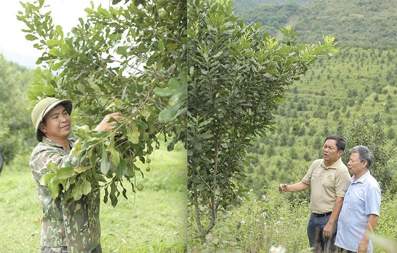 'Nu hoang' ve voi nui rung phia Bac: Hang khong du ban