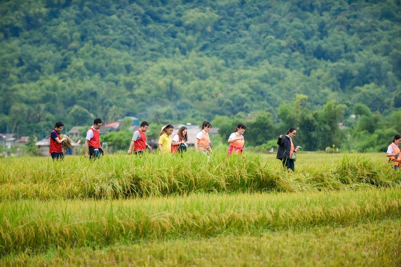 Lam sao de team building la 