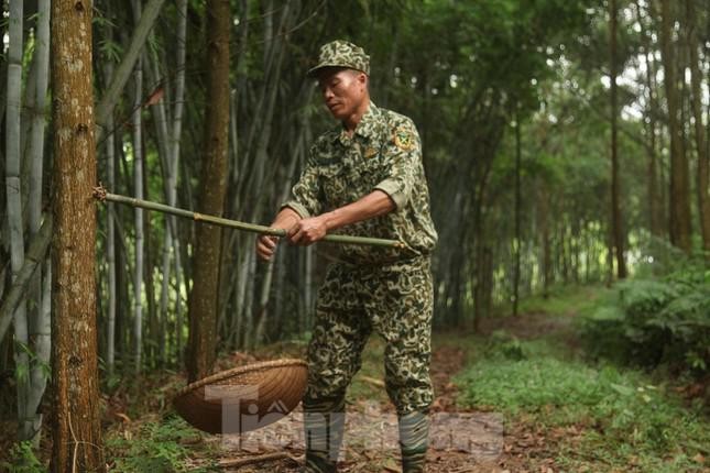 Kiem tien trieu moi ngay nho nghe san trung kien o Bac Giang-Hinh-3