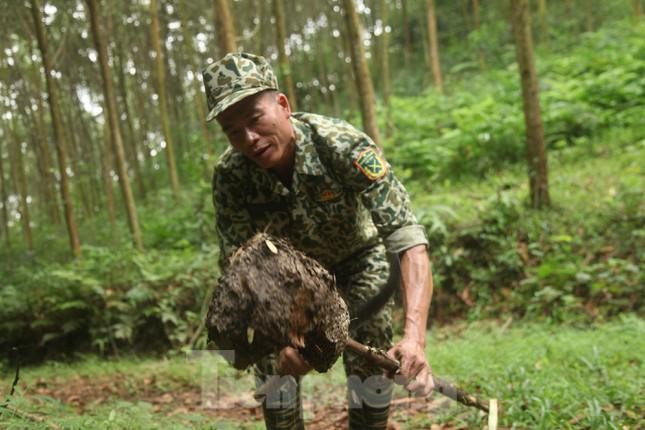 Kiem tien trieu moi ngay nho nghe san trung kien o Bac Giang-Hinh-7