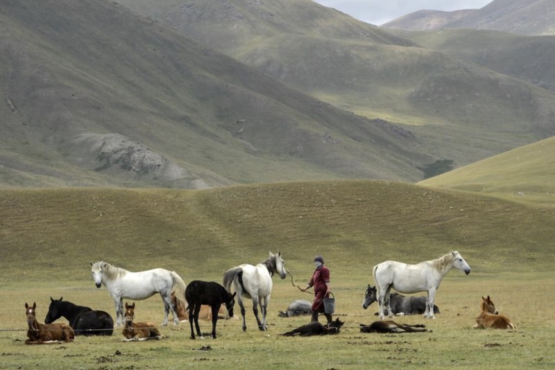 Kyrgyzstan trong mua len men sua ngua-Hinh-3