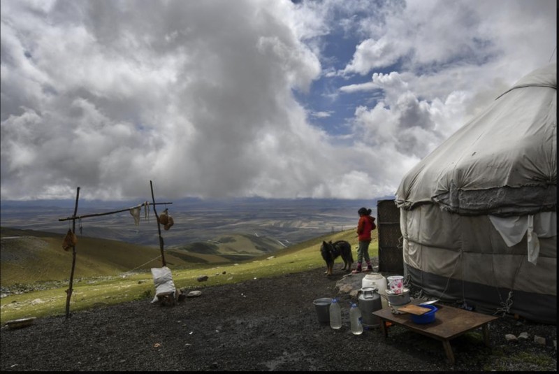 Kyrgyzstan trong mua len men sua ngua