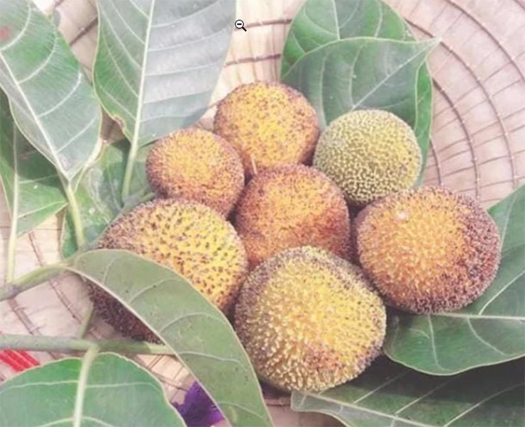 Loai qua nhieu nguoi khong biet ten, nay thanh dac san gia 120.000/kg-Hinh-6