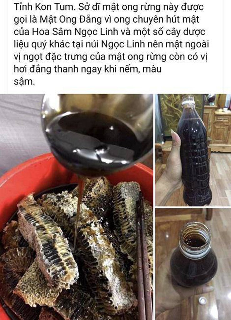 Thu mat ong la, vua den vua dang gia ca trieu dong/lit-Hinh-9