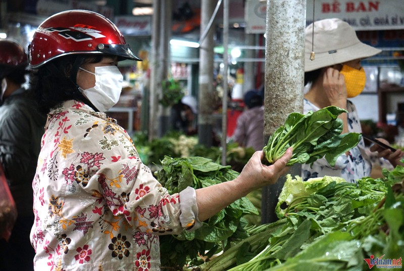 Sau lu lich su, rau xanh o Da Nang tang gia chong mat-Hinh-2