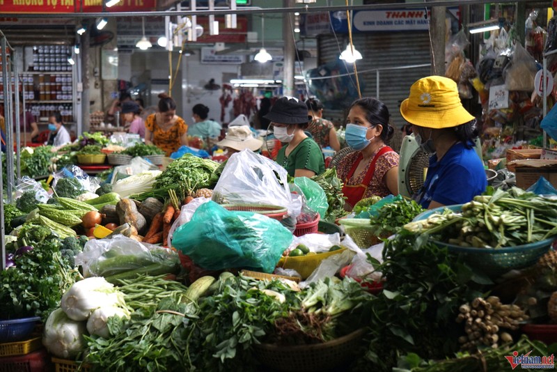 Sau lu lich su, rau xanh o Da Nang tang gia chong mat