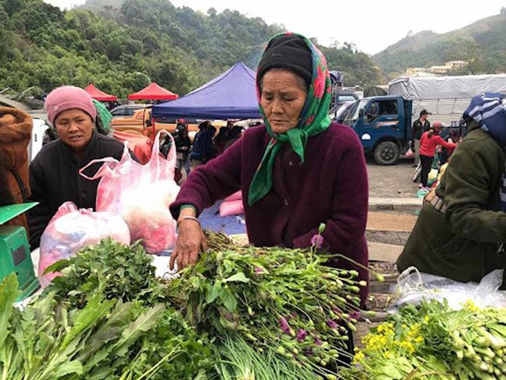 Cay dai thanh dac san, dan trong 2 thang ban 120.000 dong/kg-Hinh-3