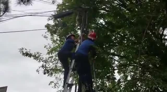 Video: Giai cuu con khi bi day cap vien thong tren cao quan co